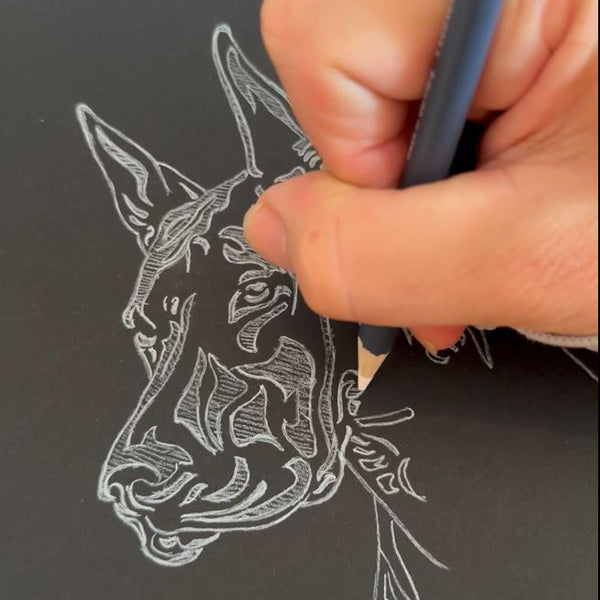 doberman drawing sketch