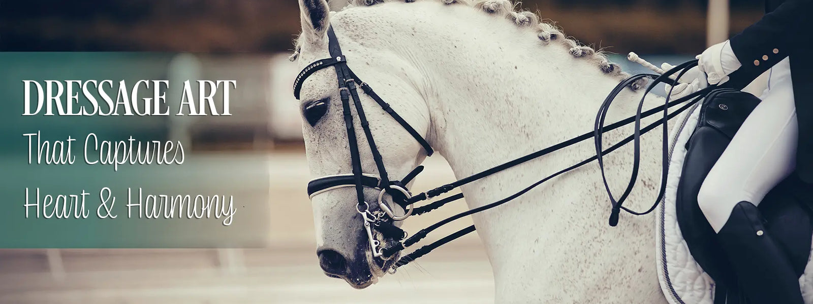 dressage art products that capture heart and harmony