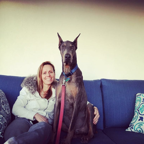 me and my doberman davinci