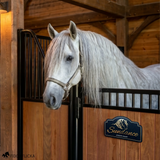 Personalized horse stall sign displayed on a wooden barn stall door beneath a gray horse, featuring brushed gold horse artwork, custom horse name, and engraved text on a black acrylic plaque.
