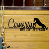 Custom horse stall name sign with jumping horse silhouette, featuring the names 'Camerine' and 'Twilight Serenade' in black metal on a rustic wood background