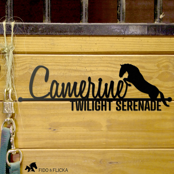 Custom horse stall name sign with jumping horse silhouette, featuring the names 'Camerine' and 'Twilight Serenade' in black metal on a rustic wood background