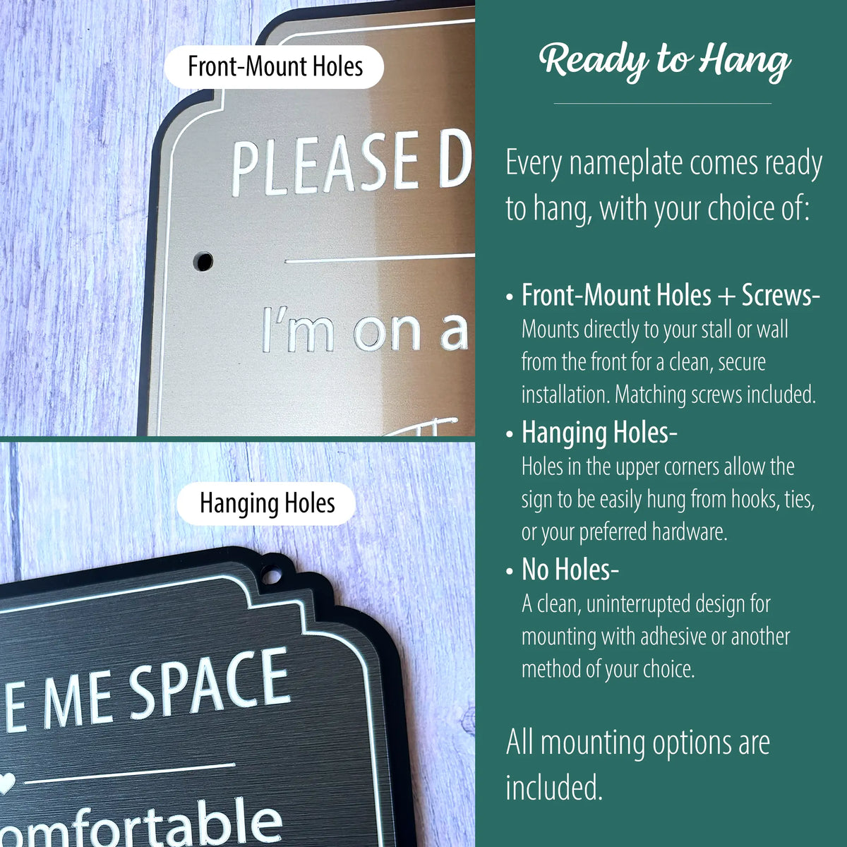 The image displays two mounting variations: one with front-mount holes and one with hanging holes in the upper corners. Text on the right explains mounting options including front-mount holes with screws, hanging holes, and no holes for adhesive mounting.