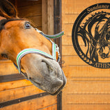 metal dressage horse stall name plate in black